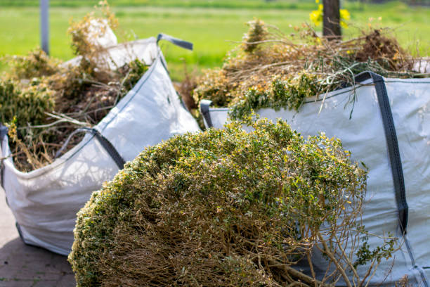 Best Estate Cleanout Services  in , CT